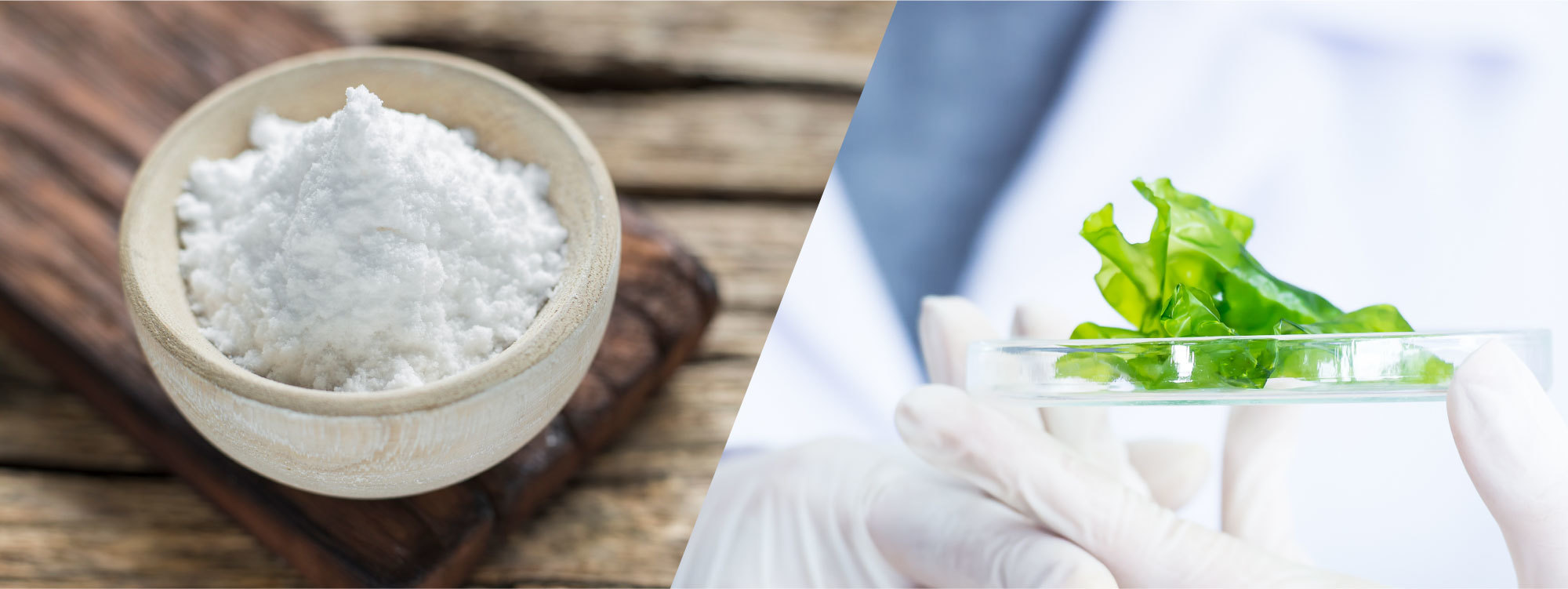 Food Additive Trehalose