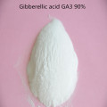 Gibberellin /GA3 90% TC/Gibberellic acid Plant Growth Regulator with low price high quality