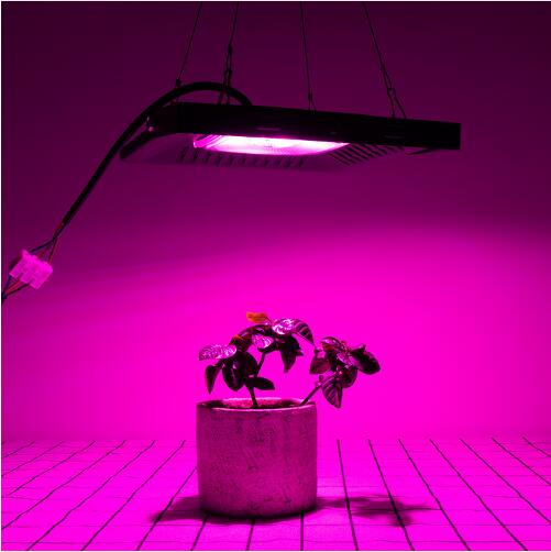 Commercial Full Spectrum Lamp 50W LED Grow Light