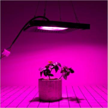 Commercial Full Spectrum Lamp 50W LED Grow Light