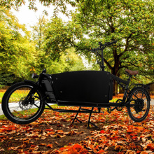 cargo bike electric bicycle cargo ebike with suspension