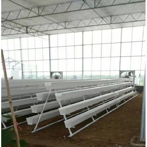 NFT Hydroponic Growing Gully for Greenhouse Manufacturers and NFT Hydroponic Growing Gully for Greenhouse Suppliers