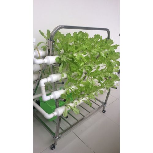 Garden Home NTF Indoor Hydroponic Grwoing System Manufacturers and Garden Home NTF Indoor Hydroponic Grwoing System Suppliers