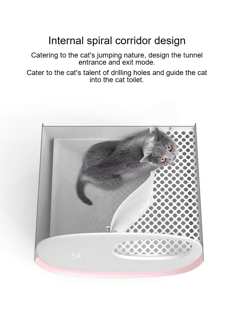 Cat Box Jpg