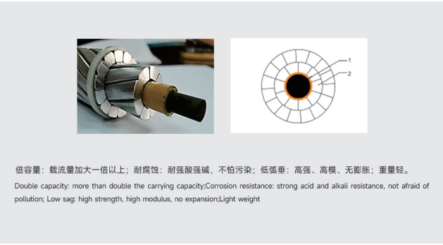 CONDUCTING WIRE (1)
