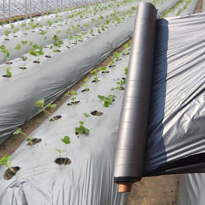 50m 0.012mm Orchard Fruit Tree Silver-Black Plastic Film Garden Greenhouse Reflective Weed Control Silvery Black Mulch Film