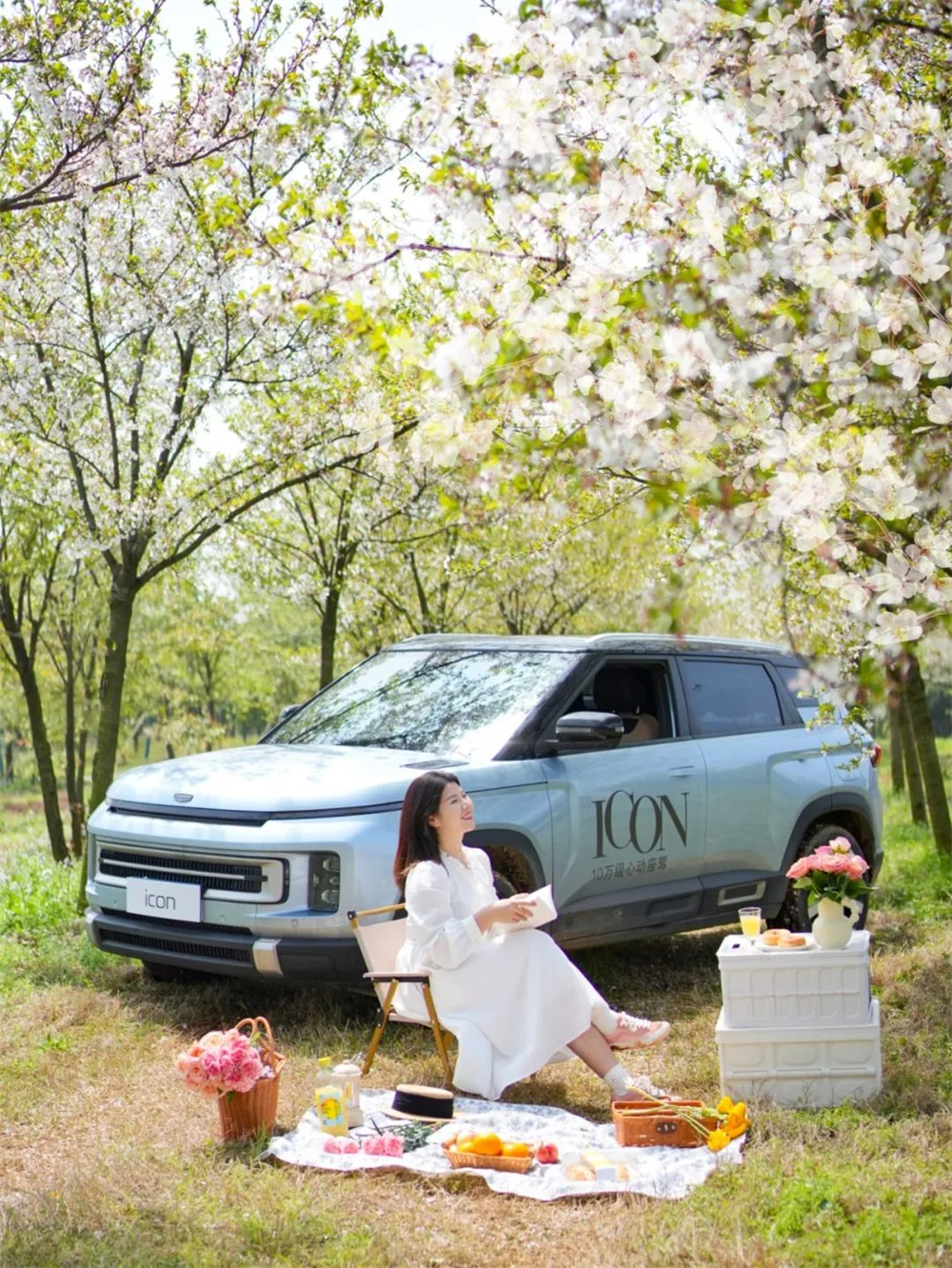 GEELY ICON02