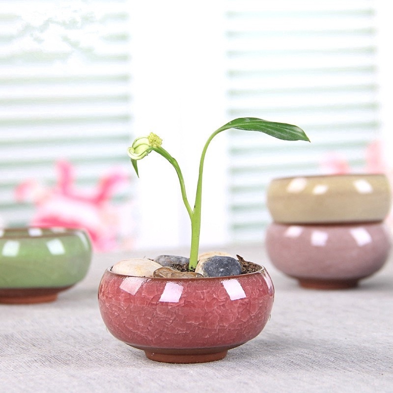 Cute Ice-Crack Glaze Flower Ceramic Succulent Flower Plant Mini Pot Succulent Planter Flowerpot Home Office Desktop Decoration