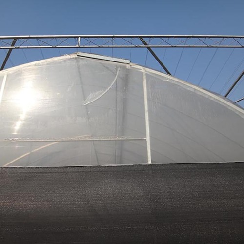 Large Plastic Film Multi Span Greenhouse Manufacturers and Large Plastic Film Multi Span Greenhouse Suppliers