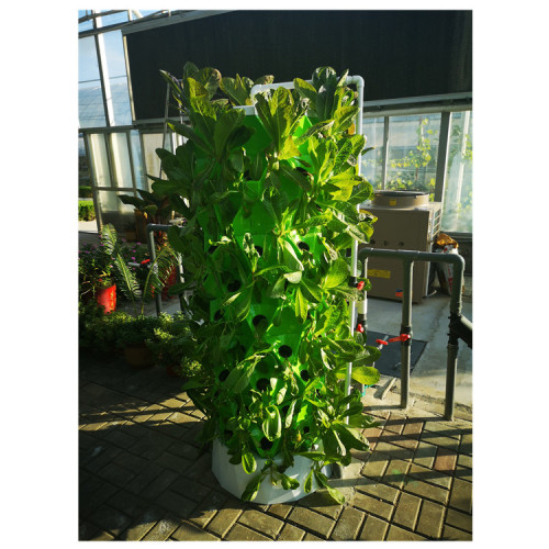 Manufacturing greenhouse smart hydroponic growing systems Manufacturers and Manufacturing greenhouse smart hydroponic growing systems Suppliers