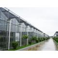 https://www.bossgoo.com/product-detail/light-stabilizer-for-greenhouse-film-covers-57974258.html