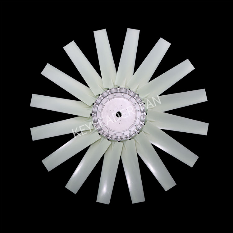 P5 N 16 1 Jpg