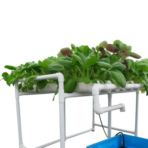 Garden Grow Kit Table Indoor Grow hydroponic system Manufacturers and Garden Grow Kit Table Indoor Grow hydroponic system Suppliers