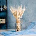 25Pcs Natural Dried Flower Wheat Ear Bouquet for Wedding Party Decoration Scrapbook Wheat Branch Props DIY Craft Home Decoration