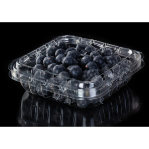 Disposable Plastic Blueberry Packaging Box