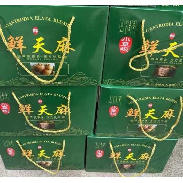 Premium Gastrodia Root YN XIGUO Extract for Natural Wellness