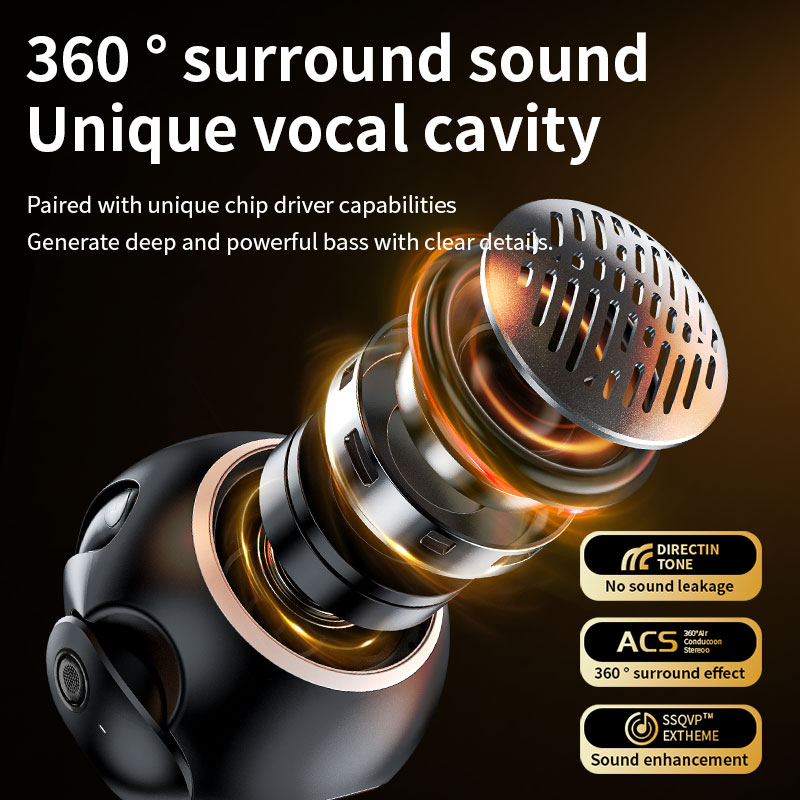 Earphone and speaker 5