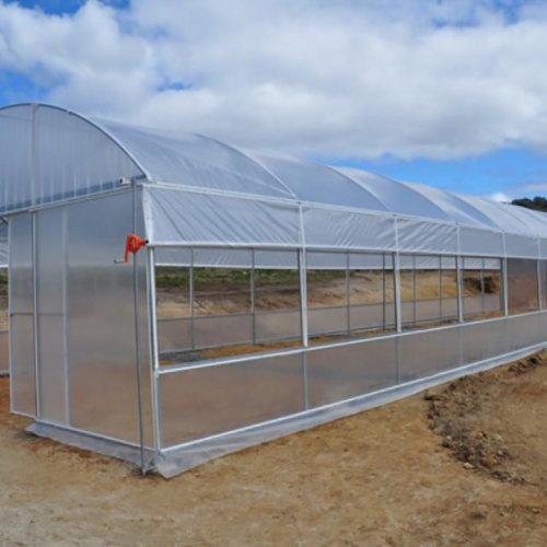 Material Frame single-span arch tunnel greenhouse Manufacturers and Material Frame single-span arch tunnel greenhouse Suppliers