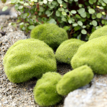 Miniature Photography Shooting Background Adornment Simulation Moss False Green Stone Rock Lichen for Photo Studio Accessories