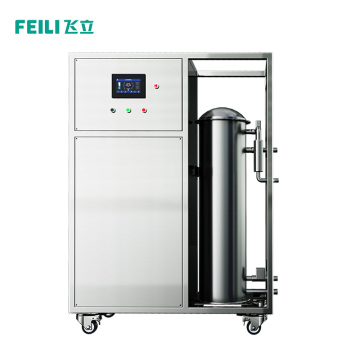 High-Capacity 800g Ozone Water Treatment