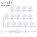 14 Light Bulbs