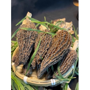 Taste of Morel Mushrooms