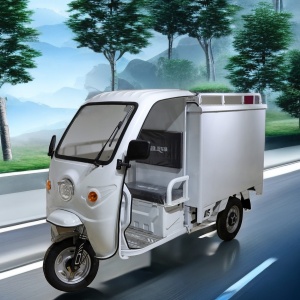 Electric Mini Cargo Transport Truck Electric Express Car
