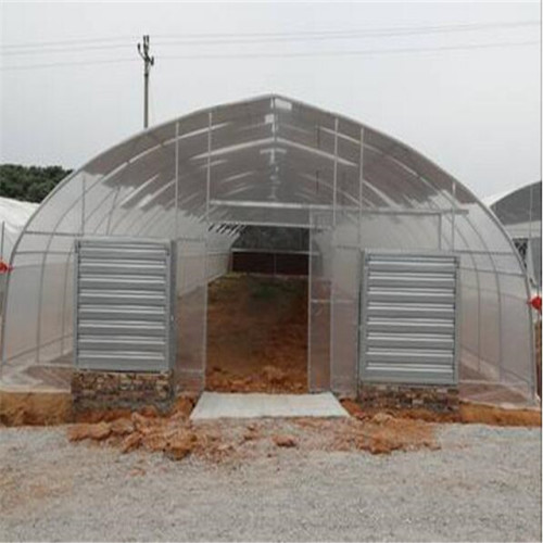 Galvanized Frame Single span PE Film greenhouse Manufacturers and Galvanized Frame Single span PE Film greenhouse Suppliers