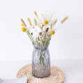 10/30PCS Natural Dried Flowers Small Pampas Grass Phragmites Natural Wheat Wedding Home Decoration Real Plant