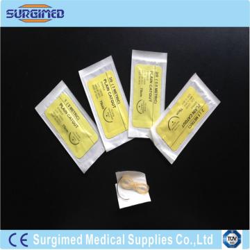 Surgical Catgut Sutures With Needle