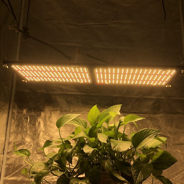 Samsung quantum board led horticulture grow lights