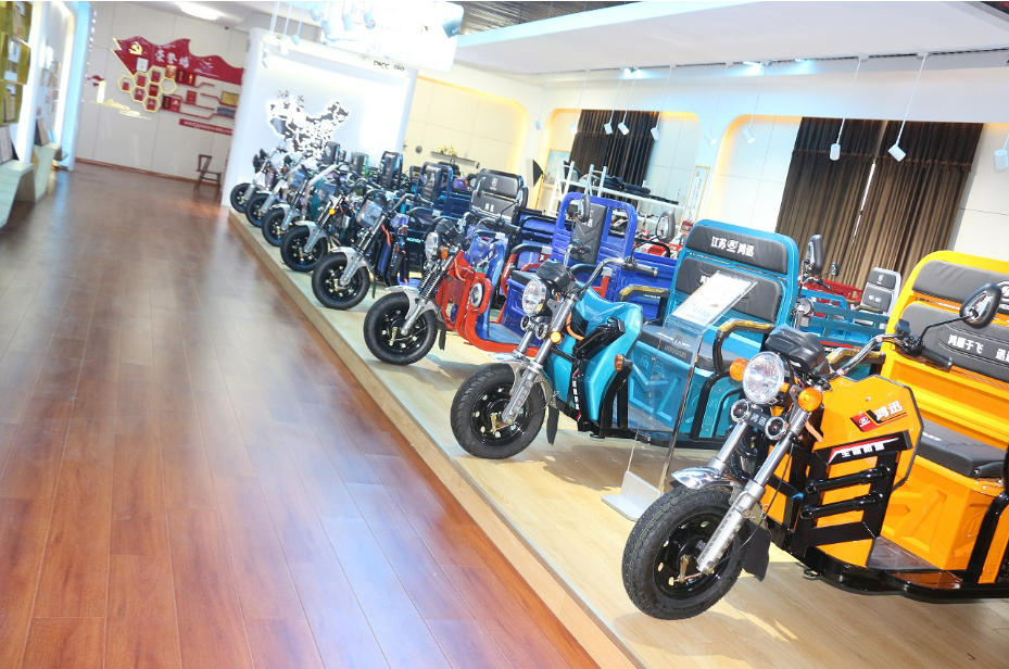 Adults Electric Tricycles