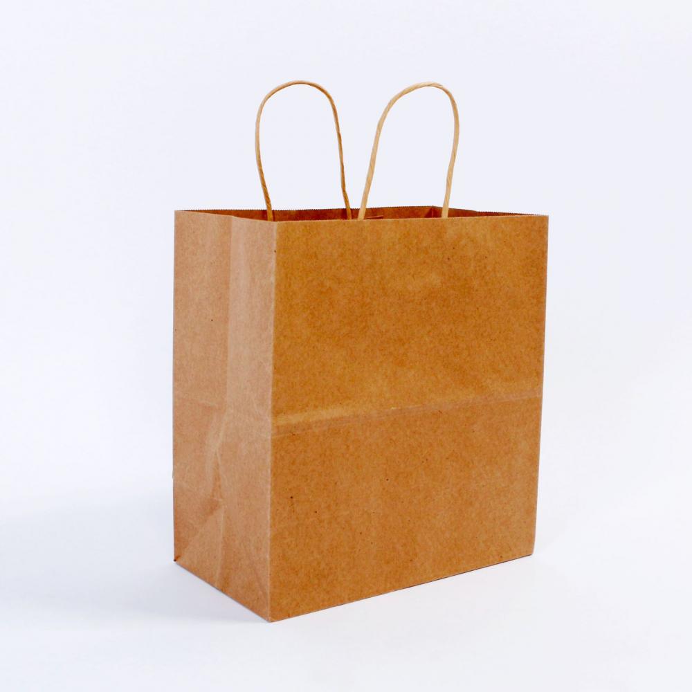 Paper Bag 8 Jpg