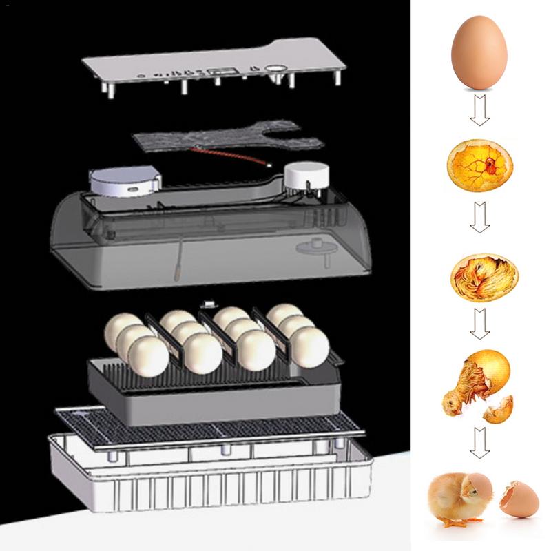 Automatic Digital 12 Eggs Incubator Hatcher Large Capacity Practical Incubators For Chicken Poultry Quail Eggs Home Use