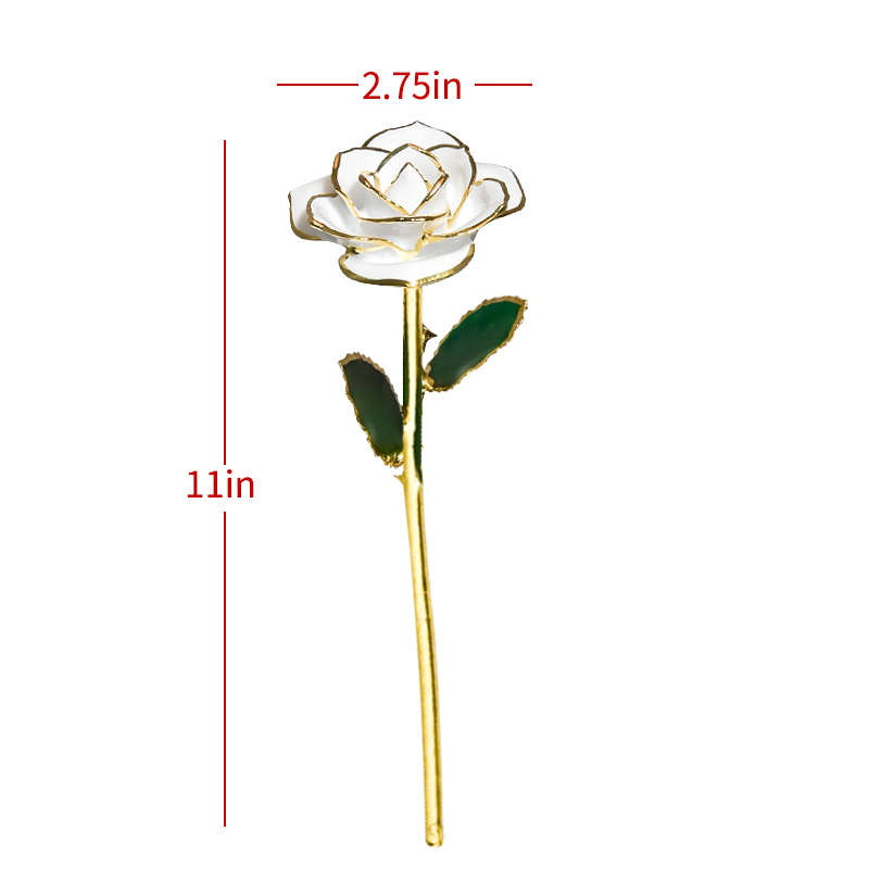 Ainyrose 24k Gold Dipped Rose Artificial Flowers Eternal Rose /w Stand In Box Birthday Valentine Mother Day Gift for Girls Women