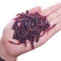 50Pcs Red Worm soft Fishing Lure 4.5cm 0.45g with salt smell 7 colors Fishy Smell Artificial silicone bait Pesca fishing tackle