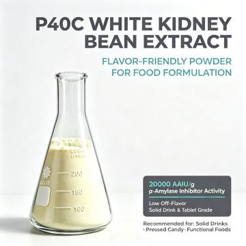 P40C White Kidney Bean Extract|20000 AAIU/g |TBHBio