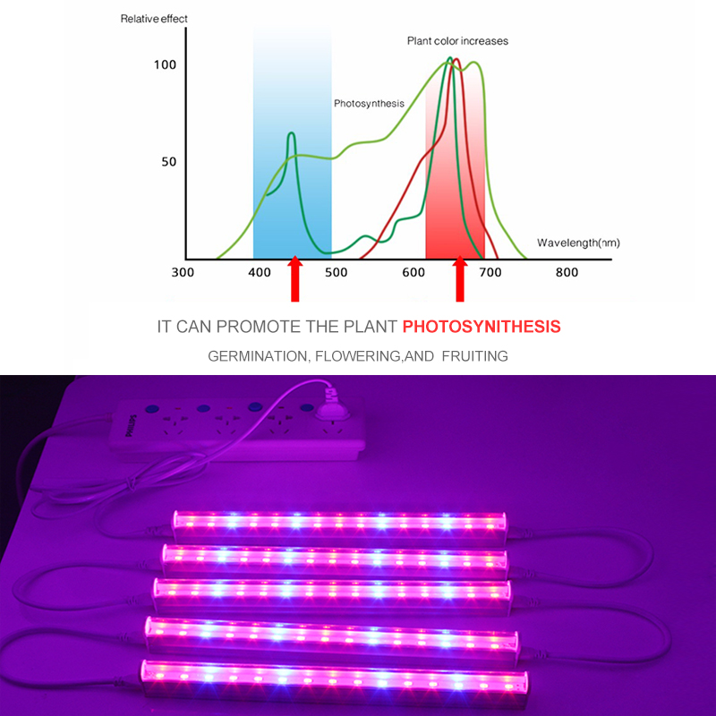 LED Grow Light Strip Full Spectrum Phyto Lamp For Plant Light Flower Growing Indoor LED Lamp Phytolamp For Plants Seed Seedlings