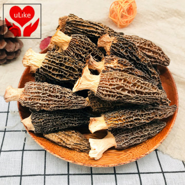 Dried Mushrooms, Premium Morel