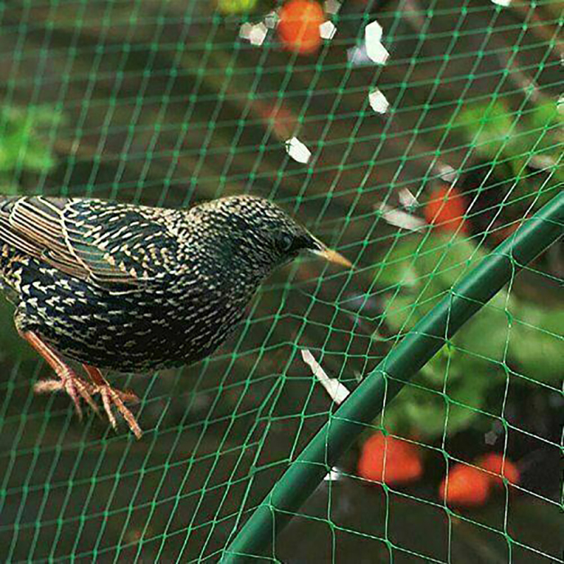 Anti Bird Catcher Netting Pond Net Traps Crops Fruit Tree Vegetables Flower Garden Mesh Protect Pest Control Seed Protection
