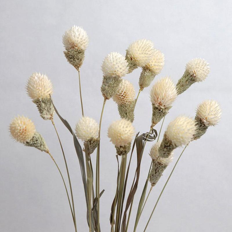 Natural Dried Flowers Dried Daisy Real Branch Acorn Pine Wheat Cotton Nordic Home Wedding Party Decoration