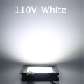 110V - White