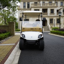 2021 2 Seats Electric Golf Cart Modern Design