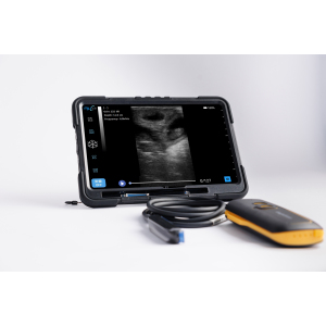 EagleScan L64 wireless camel ultrasound
