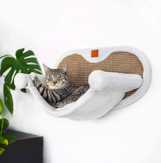 Wall Nest Png