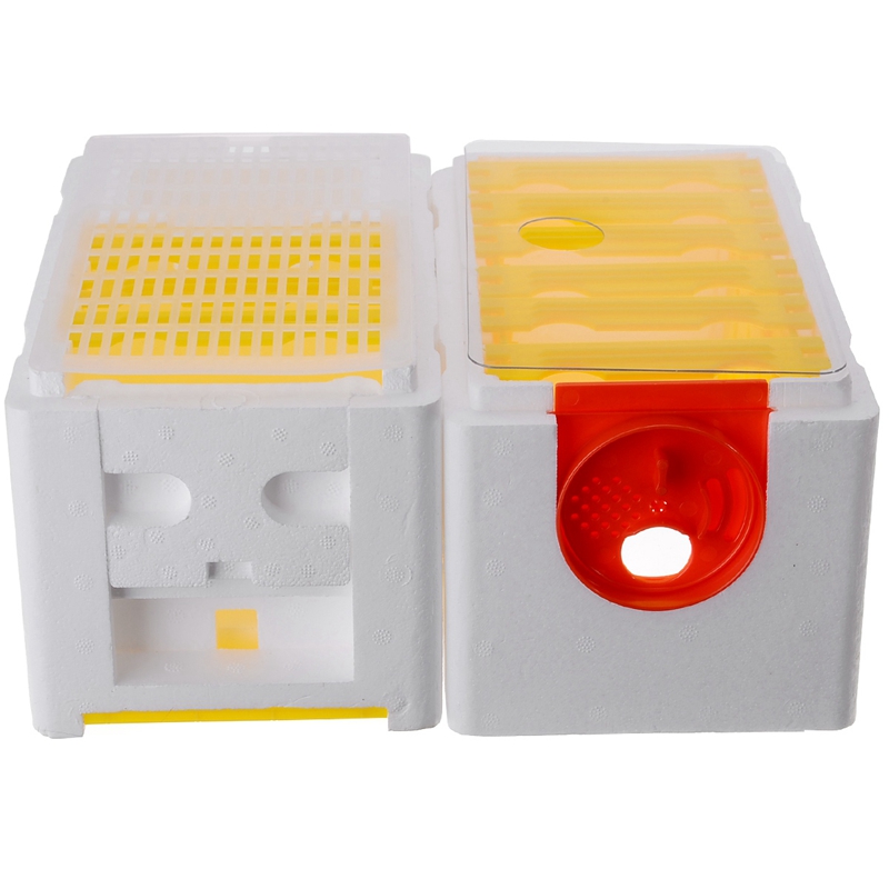 New-Honey Beehive Frames Beekeeping Box Bee Hive King Pollination Box Bee Mating Copulation Box Beekeeping Equipment