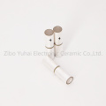 Custom Electrode Piezo Tube