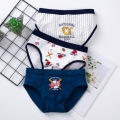 N1502 Brief 3p