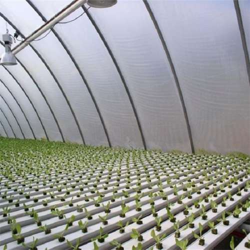 Agricultural Flat Hydroponic Commercial Hydroponics Manufacturers and Agricultural Flat Hydroponic Commercial Hydroponics Suppliers