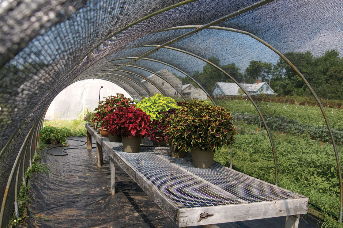 greenhouse shad net